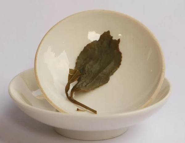 关于千亿市场,没有1个百亿茶企!你不知道的茶业大数据的热门消息