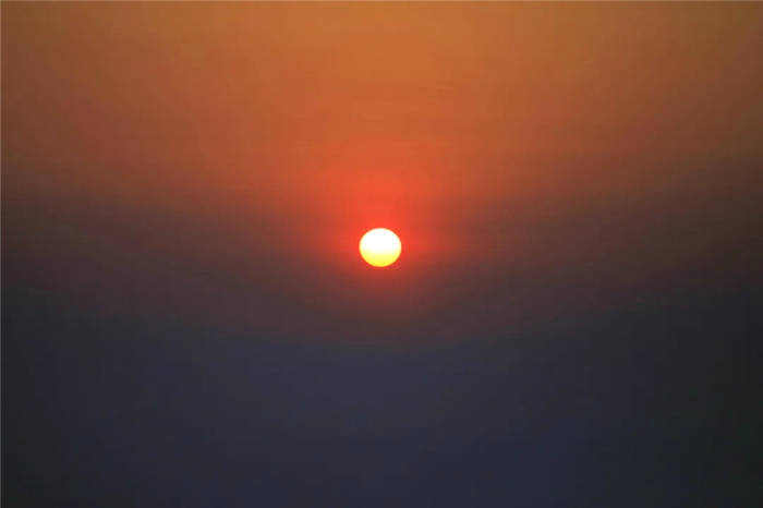 关于打卡4000亩蒙顶山茶核心区保护茶园，赏千亩山茶花园！的新闻(20)