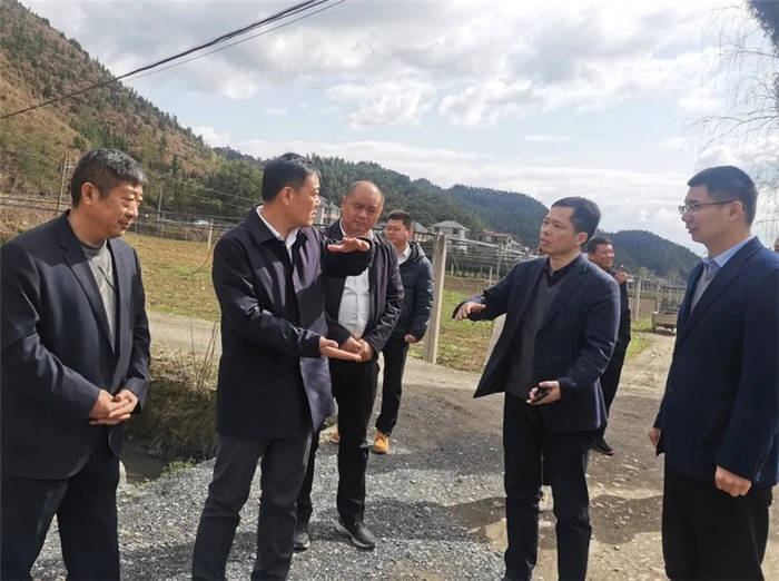 关于开化县委副书记、县长毛献明调研开化茶产业的热门消息(2)