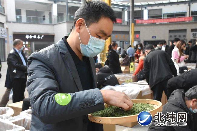 关于生态茶园人气旺 茶叶经济动力强——雅安市春茶价格较去年同期上涨约20%的最新消息(1)