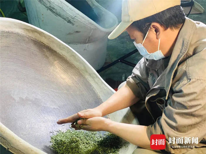 有关于从一芽春茶到20万亩茶园 四川荣县茶产业步入“黄金时代”的信息(7)