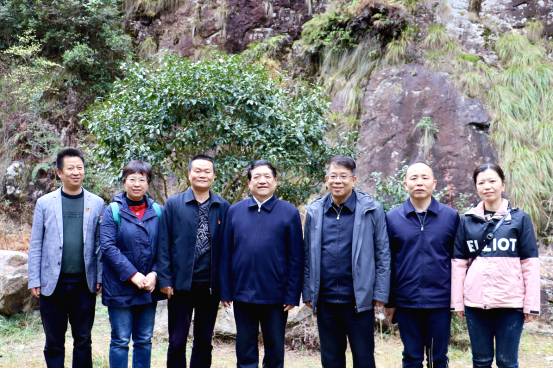 有关于陈绍军会长一行深入政和县调研茶产业发展情况的消息(6)