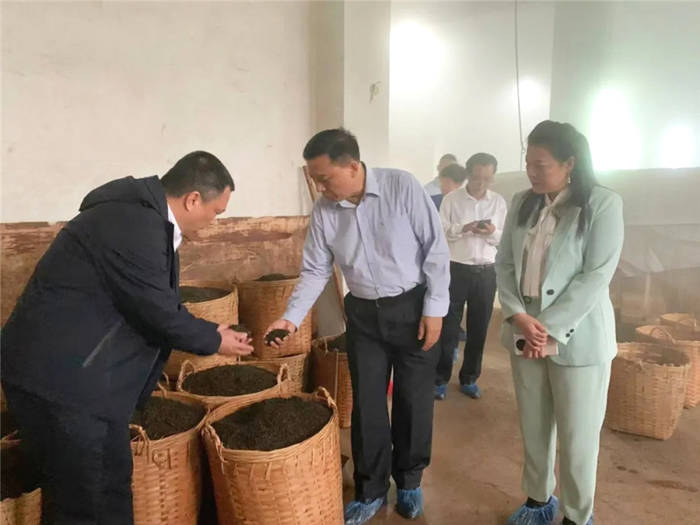 有关于梧州市委副书记蒋海东到企业调研茶产业发展的热门信息(2)