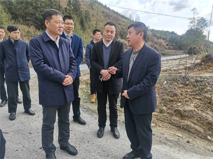 关于开化县委副书记、县长毛献明调研开化茶产业的热门消息