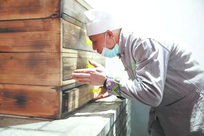 有关于2021年恩施春茶上市，较往年提前一周的新闻(4)