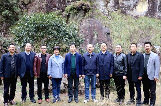 有关于陈绍军会长一行深入政和县调研茶产业发展情况的消息(7)