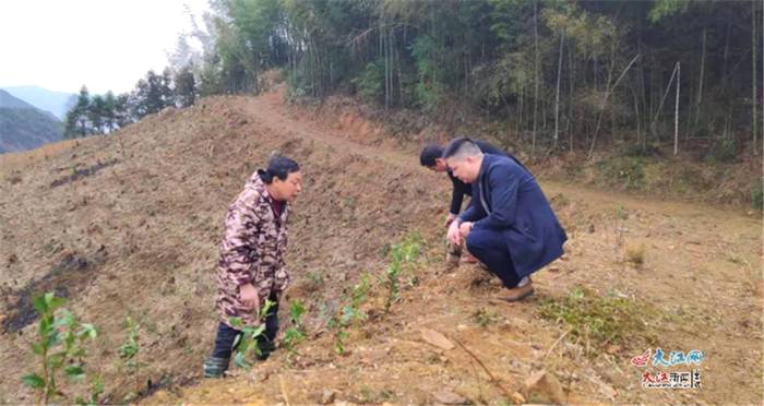 有关于江西玉山广平村：高山种出“致富茶” 走向扶贫“小康路”的最新消息(4)