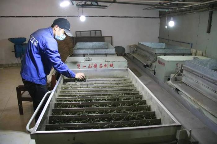 关于沐溪镇采摘生产茶事忙,今年春茶要“管钱”的最新消息(9)