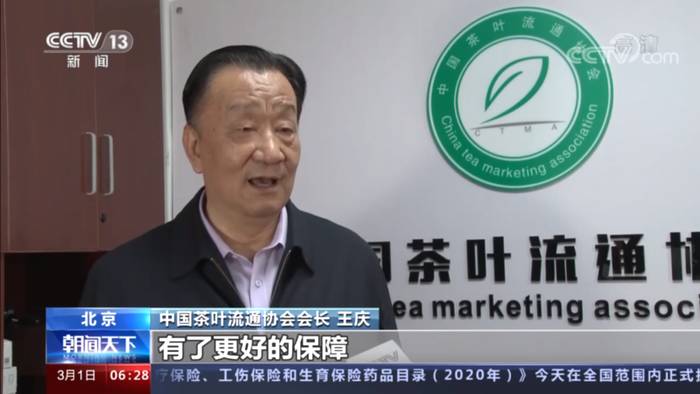 有关于春茶全面开采！质优价高，今年春茶市场形势看好的最新消息