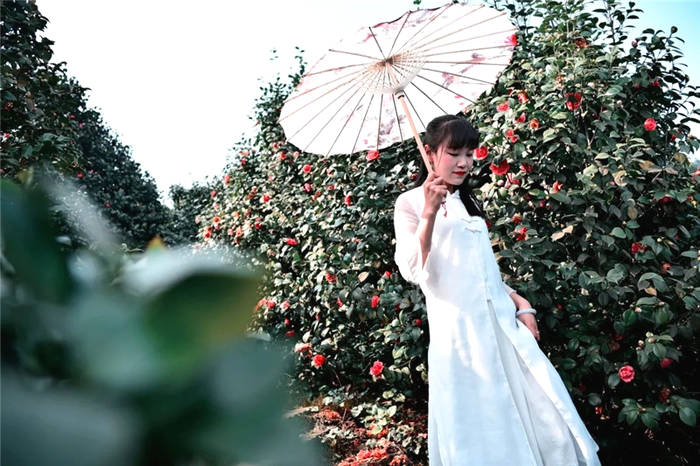 关于打卡4000亩蒙顶山茶核心区保护茶园，赏千亩山茶花园！的新闻(14)