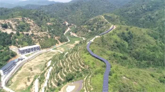 有关于评估4亿！紫金黄花茶业荣登“中国茶企产品品牌价值百强排行榜”！的最新信息(2)