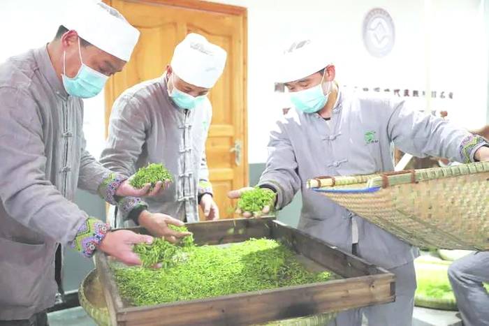 有关于2021年恩施春茶上市，较往年提前一周的新闻(2)