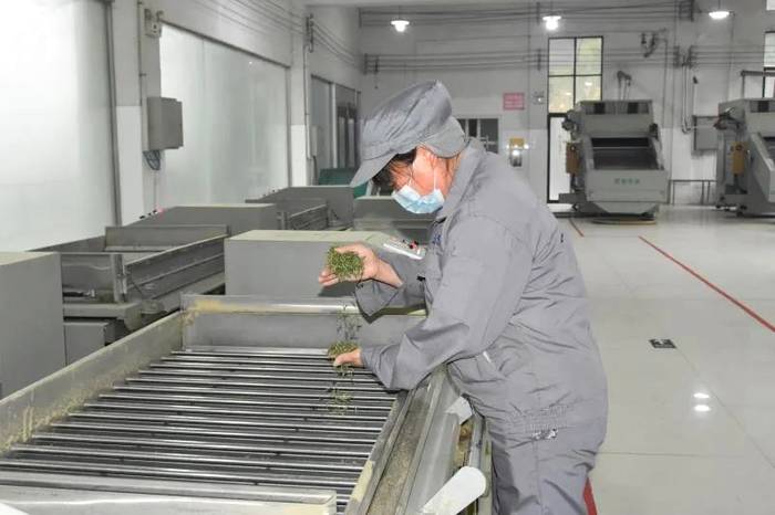 有关于浙江更香有机茶：青山绿水环抱下的智能“茶叶经”的新闻(1)