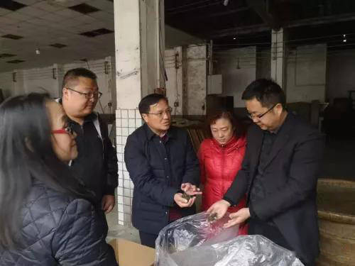 有关于雅安市农业农村局党组书记倪林带队调研雨城区茶叶生产情况的新闻