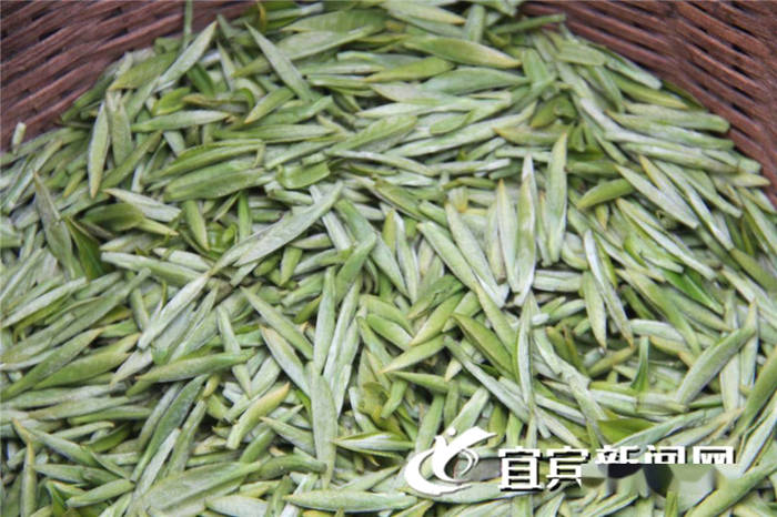 有关于宜宾高县：春茶飘香 茶山变“金山银山” 的热门信息