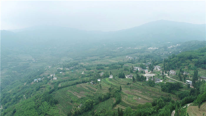 有关于高质量推动四川荥经县现代茶产业园区建设的热门新闻