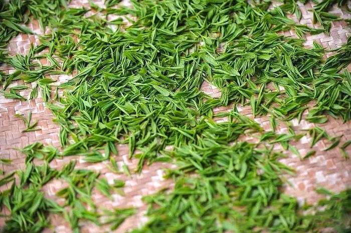 关于2021年长三角春茶茶情通报（第一期）：采摘提前的新闻(3)