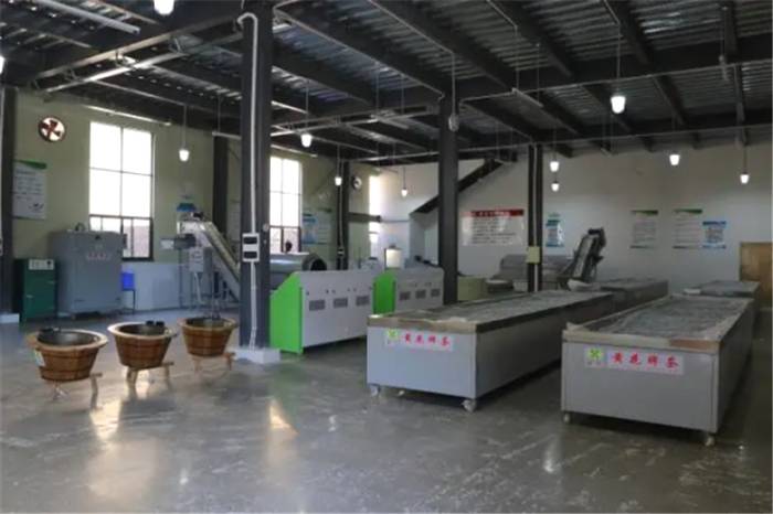 有关于评估4亿！紫金黄花茶业荣登“中国茶企产品品牌价值百强排行榜”！的最新信息(1)