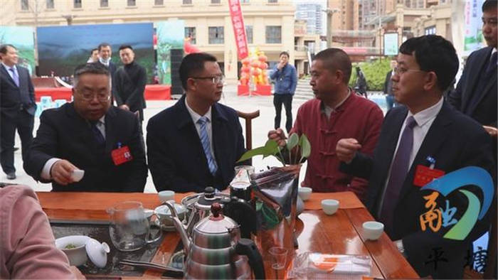 关于“都匀毛尖·平塘甲茶——贵州春茶第一壶”茶叶品鉴周活动举行的热门新闻(1)