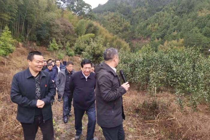 有关于陈绍军会长一行深入政和县调研茶产业发展情况的消息(2)