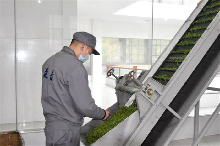 关于浙江武义：青山绿水环抱下的智能“茶叶经” 的信息(2)