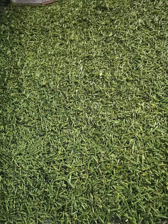 有关于抱云轩之金寨茶区，2021年金寨黄芽已经上市的热门信息