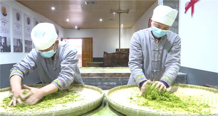 有关于第一批“ 恩施玉露”茶上市 茶企闻讯抢订的消息(3)