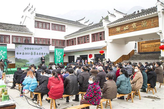 关于湖北秭归：正月春茗香四溢 春茶品鉴邀客来的信息(1)