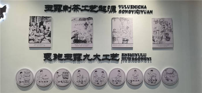 有关于第一批“ 恩施玉露”茶上市 茶企闻讯抢订的消息(4)