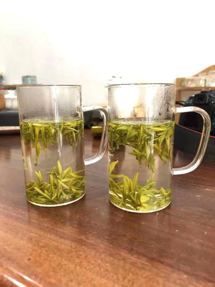 有关于抱云轩之历口茶区，2021年红旗一号毛峰已经上市的热门信息(6)