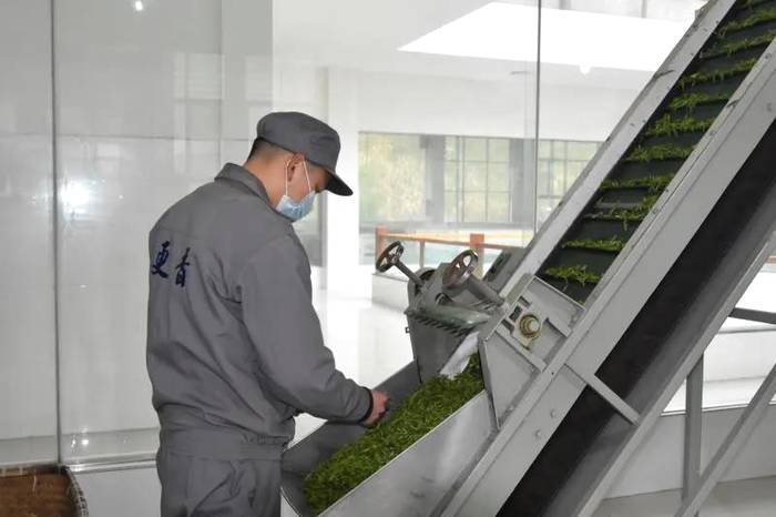 有关于浙江更香有机茶：青山绿水环抱下的智能“茶叶经”的新闻(2)