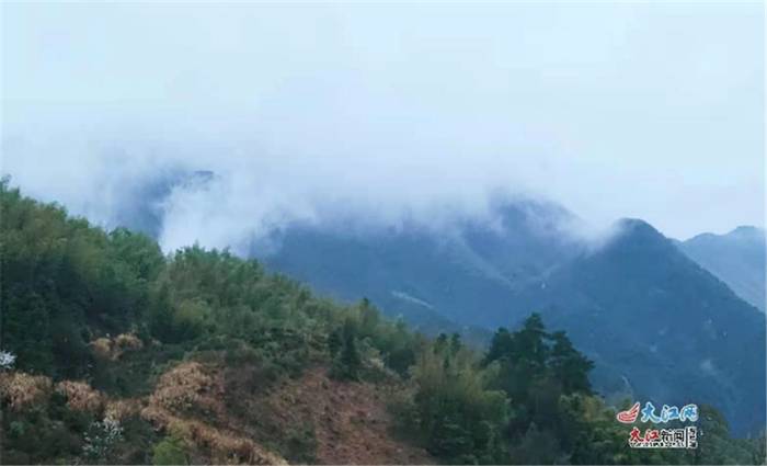 有关于江西玉山广平村：高山种出“致富茶” 走向扶贫“小康路”的最新消息