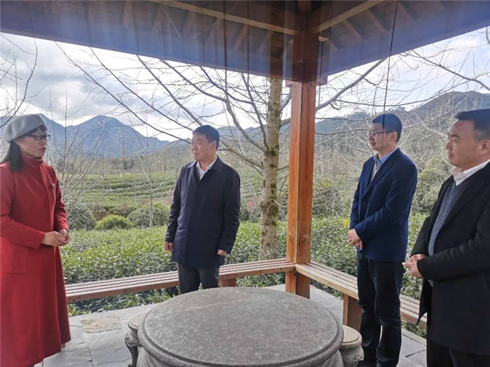 关于开化县委副书记、县长毛献明调研开化茶产业的热门消息(3)