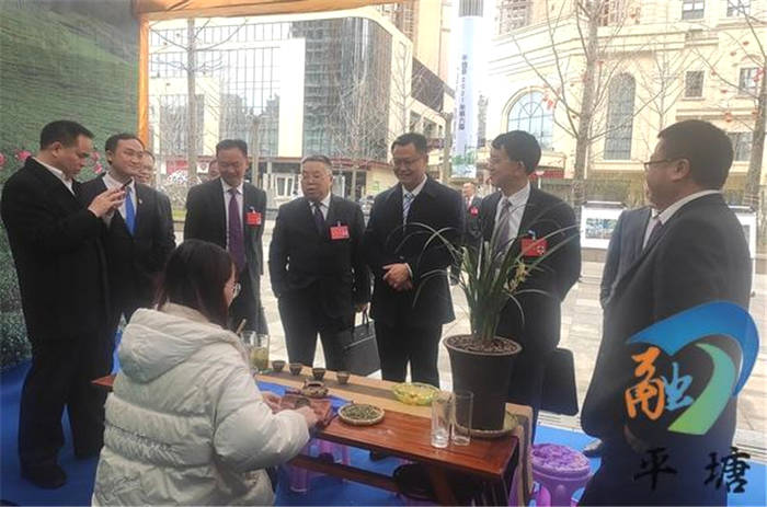 关于“都匀毛尖·平塘甲茶——贵州春茶第一壶”茶叶品鉴周活动举行的热门新闻(2)
