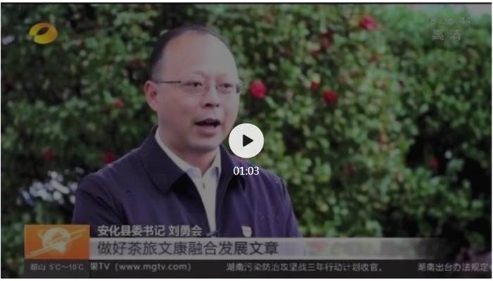 有关于安化县委书记刘勇会:做好茶旅文康融合发展文章的热门新闻