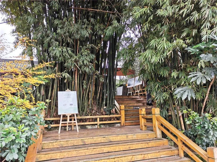 关于蒙顶山茶抢“鲜”上市 品鉴春茶新品 品尝春天滋味的信息(2)