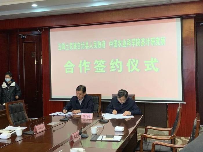 关于中国农业科学院茶叶研究所与湖北五峰县签订战略合作协议的信息(3)