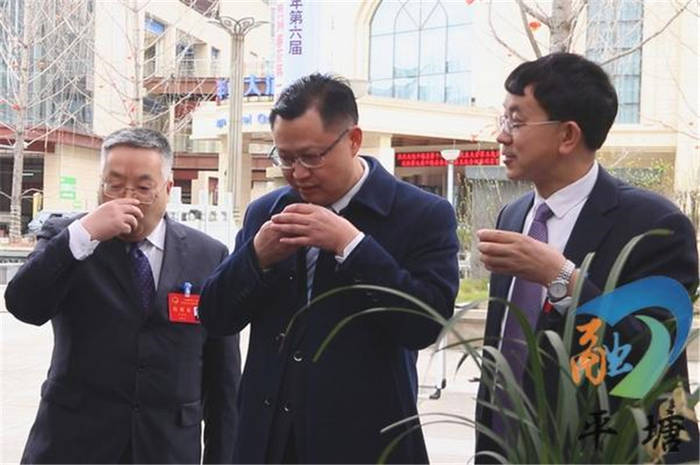 关于“都匀毛尖·平塘甲茶——贵州春茶第一壶”茶叶品鉴周活动举行的热门新闻