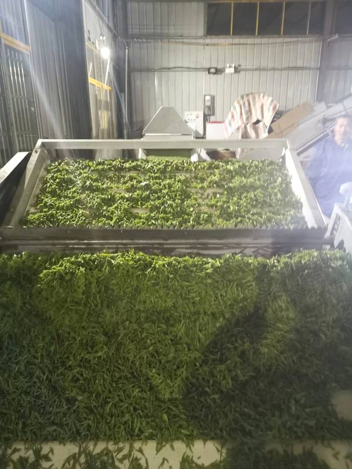 有关于抱云轩之金寨茶区，2021年金寨黄芽已经上市的热门信息(1)