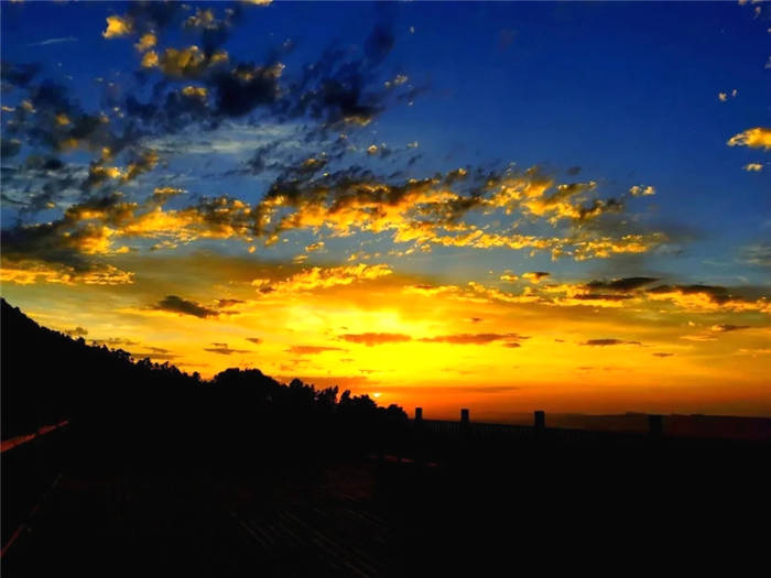 关于打卡4000亩蒙顶山茶核心区保护茶园，赏千亩山茶花园！的新闻(19)