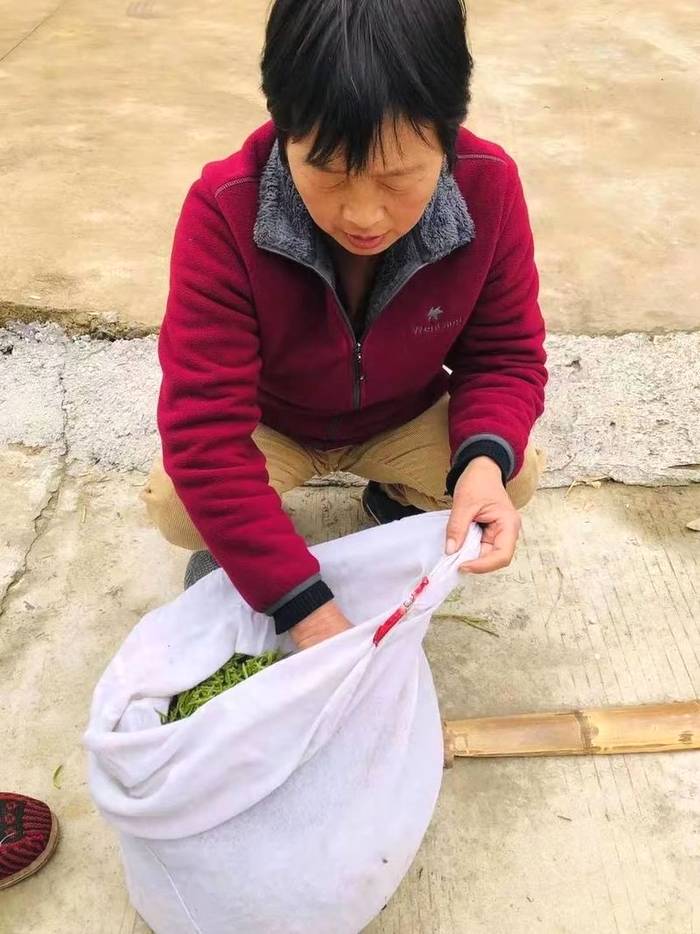 有关于抱云轩之历口茶区，2021年红旗一号毛峰已经上市的热门信息(3)