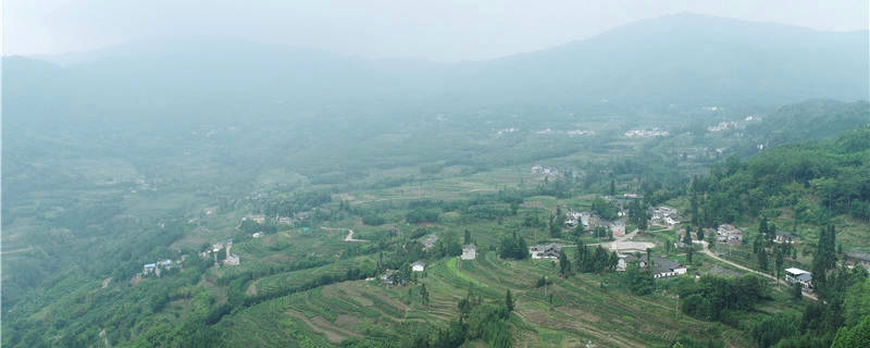 有关于高质量推动四川荥经县现代茶产业园区建设的热门新闻