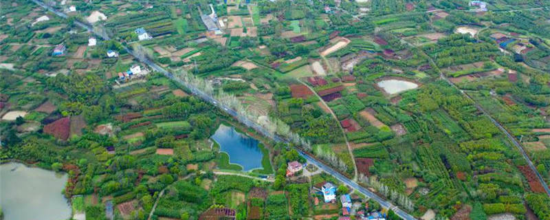 关于湖北周巷：提升产能，推动茶叶高质量发展！的消息