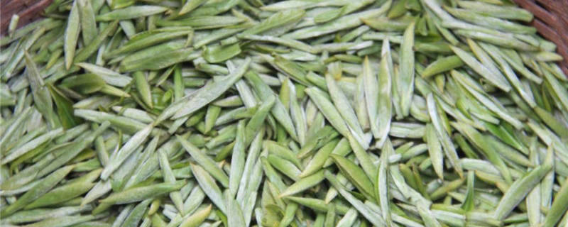 有关于宜宾高县：春茶飘香 茶山变“金山银山” 的热门信息