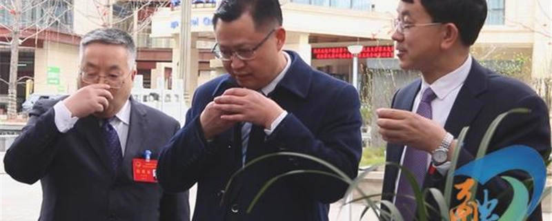 关于“都匀毛尖·平塘甲茶——贵州春茶第一壶”茶叶品鉴周活动举行的热门新闻