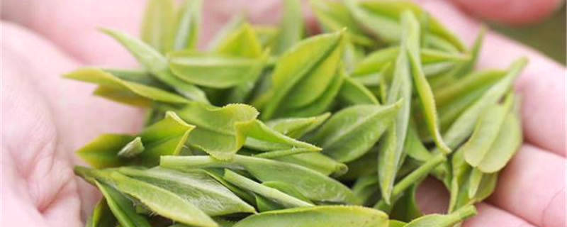 关于全国人大代表欧阳华：用电代柴 以茶兴业的热门资讯