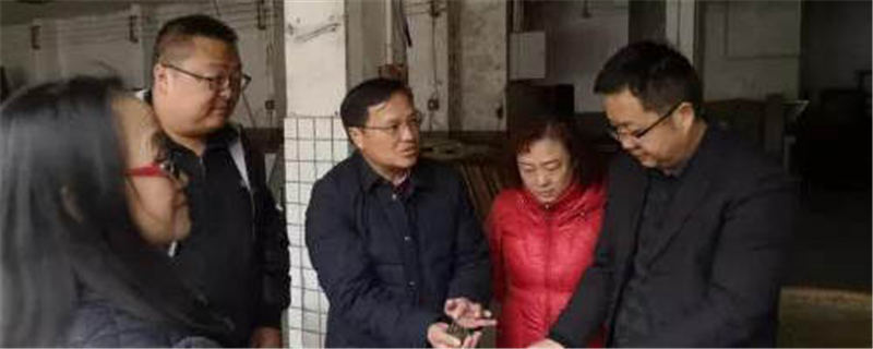 有关于雅安市农业农村局党组书记倪林带队调研雨城区茶叶生产情况的新闻