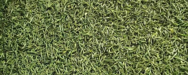 有关于抱云轩之金寨茶区，2021年金寨黄芽已经上市的热门信息