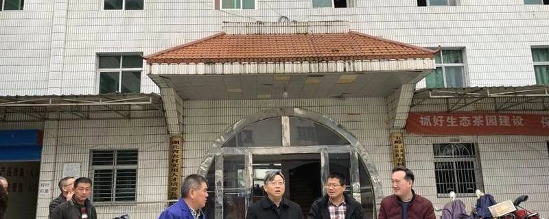 关于中国农业科学院茶叶研究所与湖北五峰县签订战略合作协议的信息