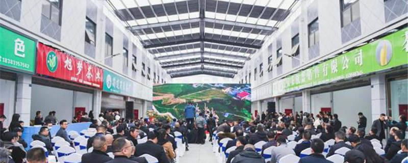 有关于四川川之南茶城正式运营 全国茶商云集筠连的资讯